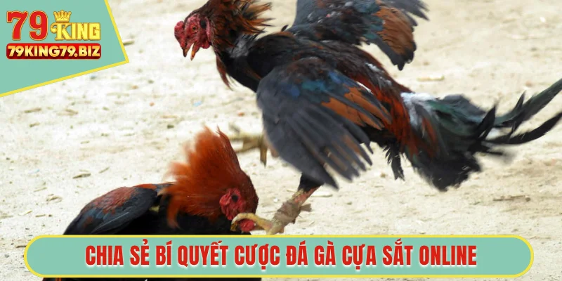 Chia sẻ bí quyết cược đá gà cựa sắt online