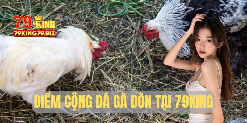 Điểm cộng lớn của đá gà đòn