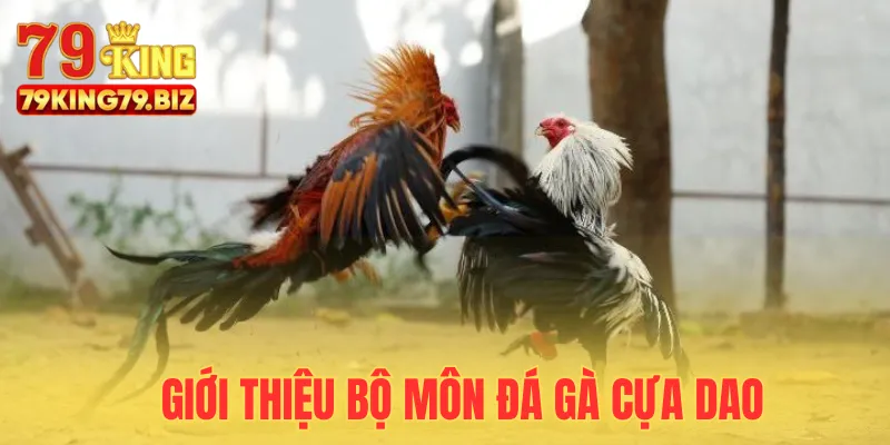 Khám phá bộ môn đá gà cựa dao hấp dẫn